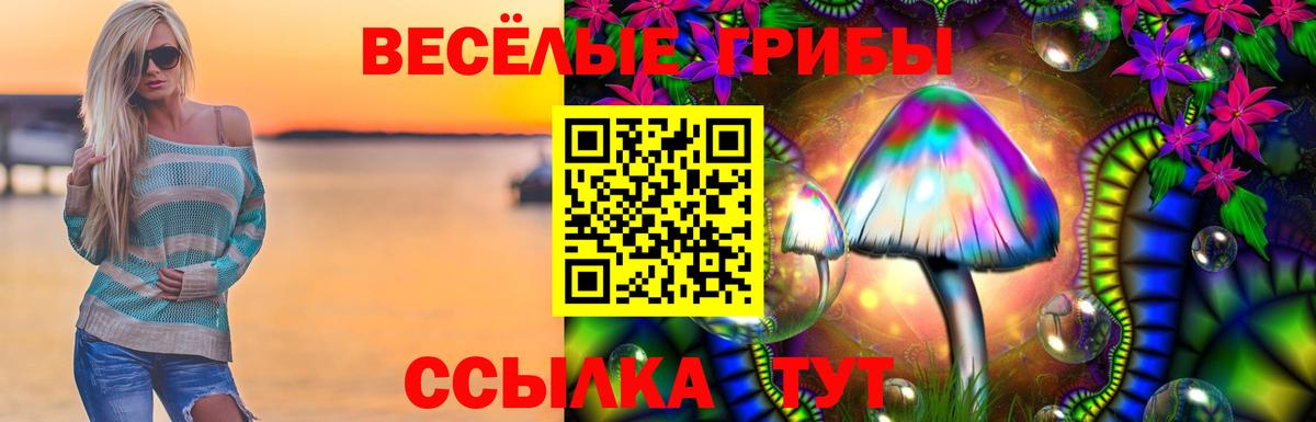 Псилоцибиновые грибы GOLDEN TEACHER  Вход с VPN  купить наркотики сайты  Апшеронск 